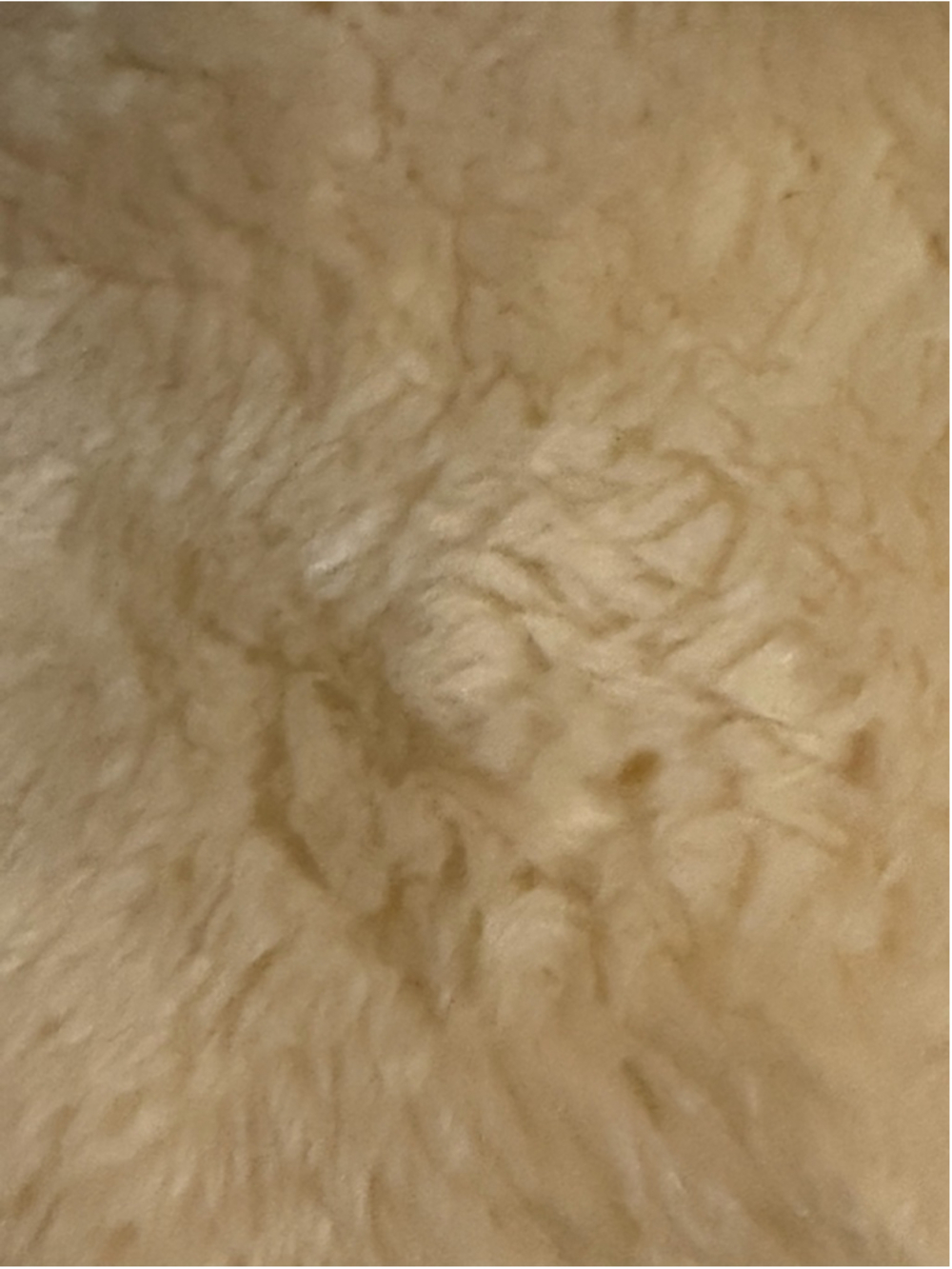 AKMI TEXTILE King Beige Rafah Soft Blanket - Picture 4 of 4